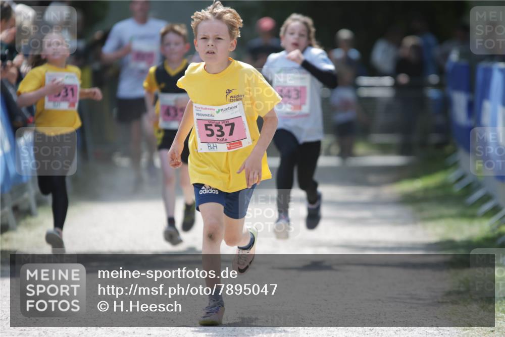 17.05.2025 - Störlauf H.Heesch http://msf.ph/oto/7895047 17.05.2025 13:56:12 Ziel 931, 2025, 537, 143 meine-sportfotos.de