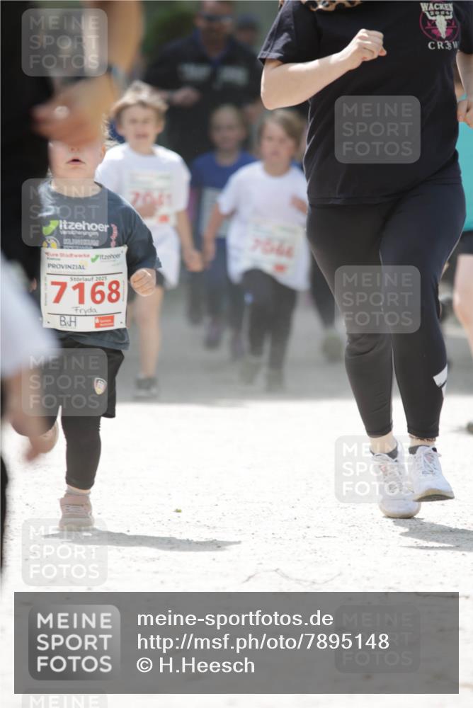 17.05.2025 - Störlauf H.Heesch http://msf.ph/oto/7895148 17.05.2025 13:02:02 Ziel 2025, 7168, 7061, 7544, 3 meine-sportfotos.de