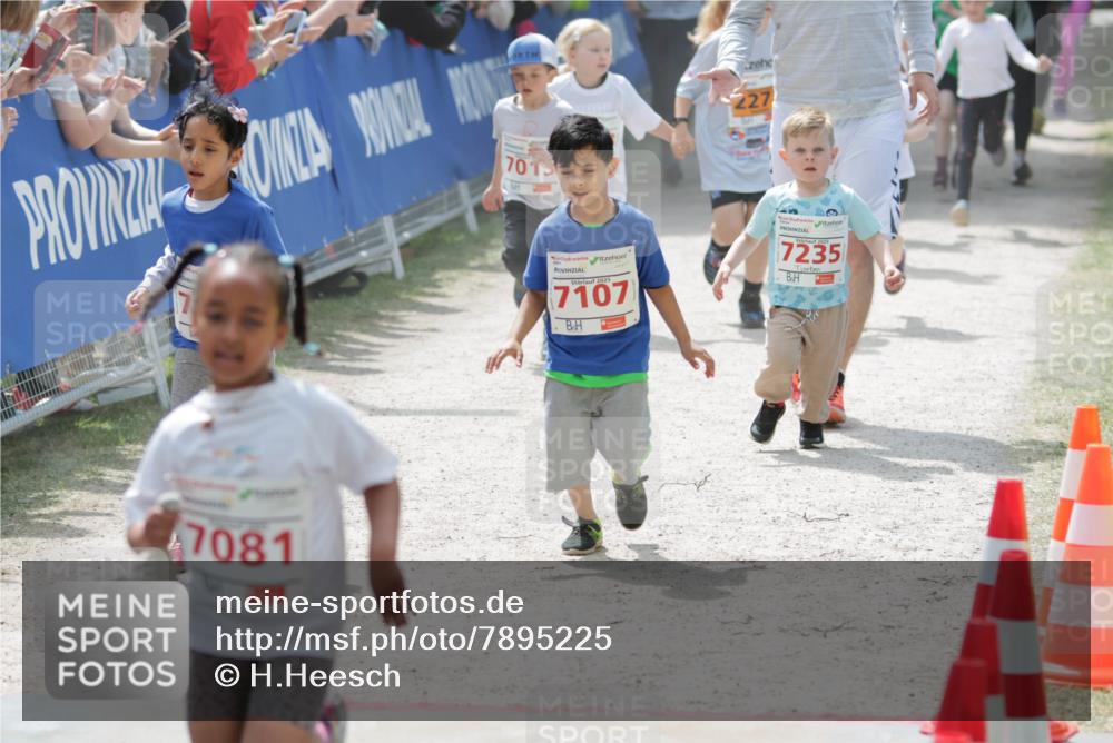 17.05.2025 - Störlauf H.Heesch http://msf.ph/oto/7895225 17.05.2025 13:02:31 Ziel 7015, 7081, 2025, 7107, 227, 2025, 7235 meine-sportfotos.de