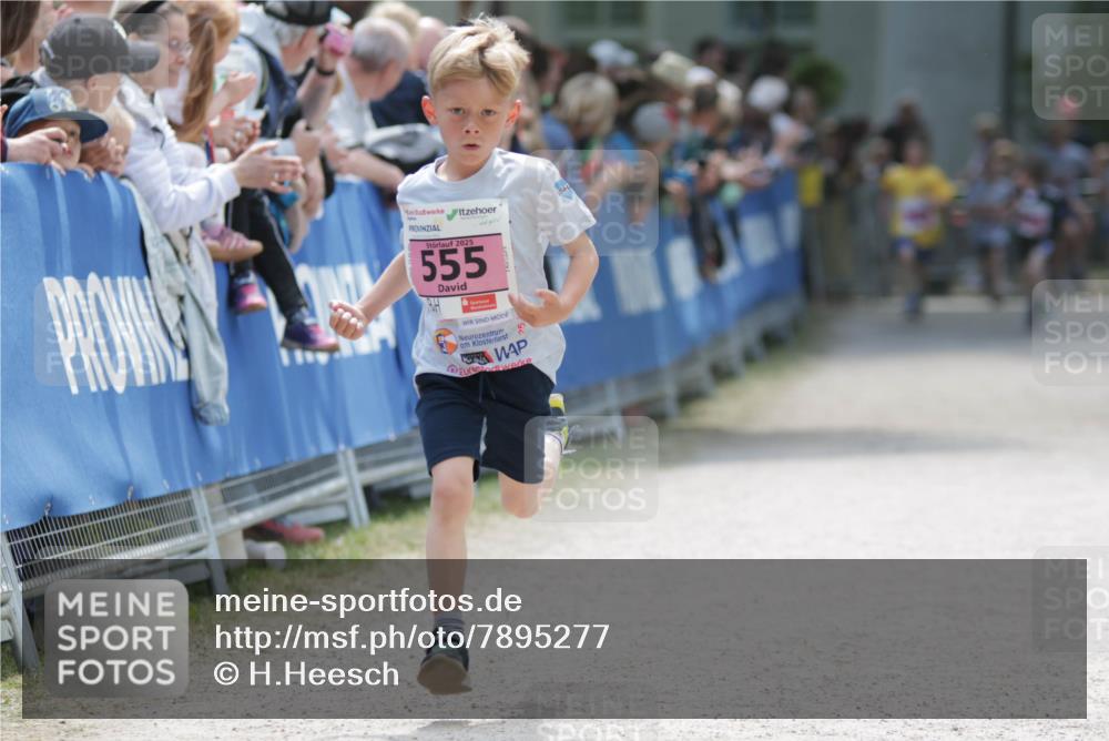 17.05.2025 - Störlauf H.Heesch http://msf.ph/oto/7895277 17.05.2025 13:56:23 Ziel 2025, 555, 25 meine-sportfotos.de