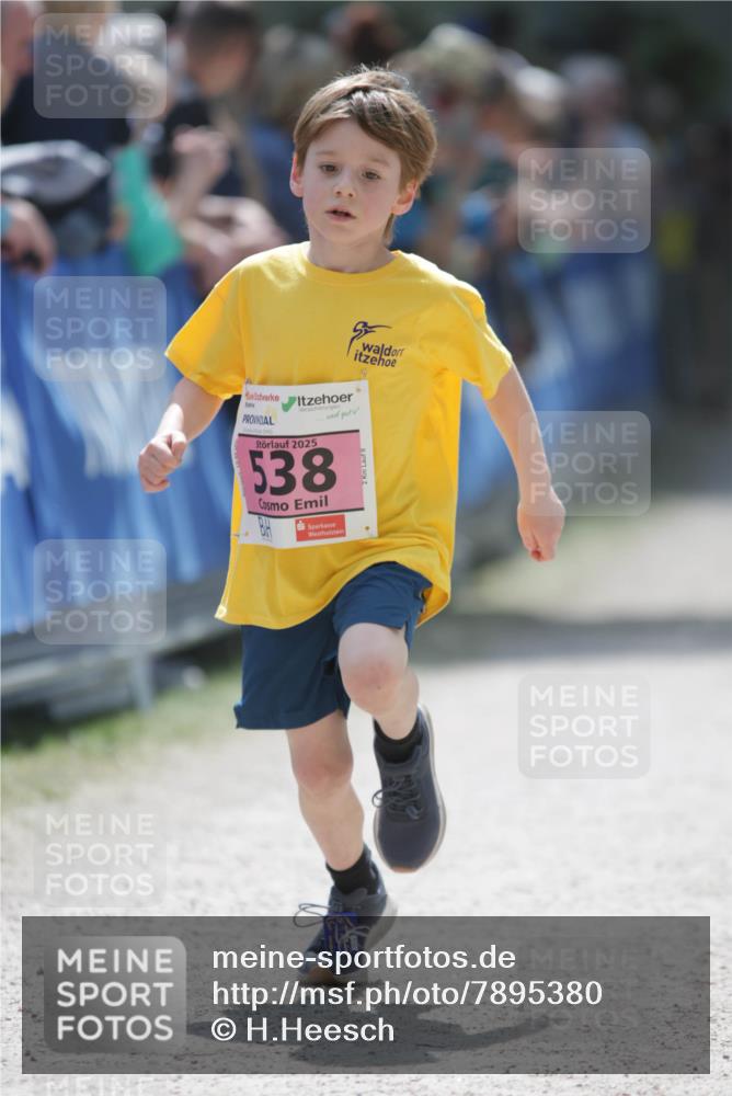 17.05.2025 - Störlauf H.Heesch http://msf.ph/oto/7895380 17.05.2025 13:56:39 Ziel 2025, 538, 2 meine-sportfotos.de