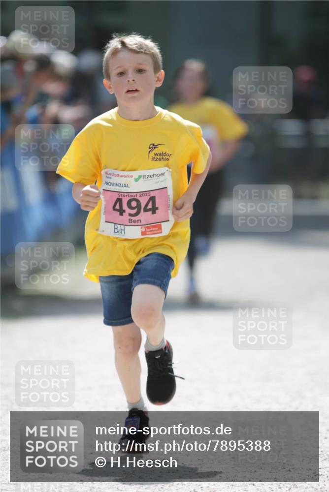 17.05.2025 - Störlauf H.Heesch http://msf.ph/oto/7895388 17.05.2025 13:56:42 Ziel 2025, 494 meine-sportfotos.de