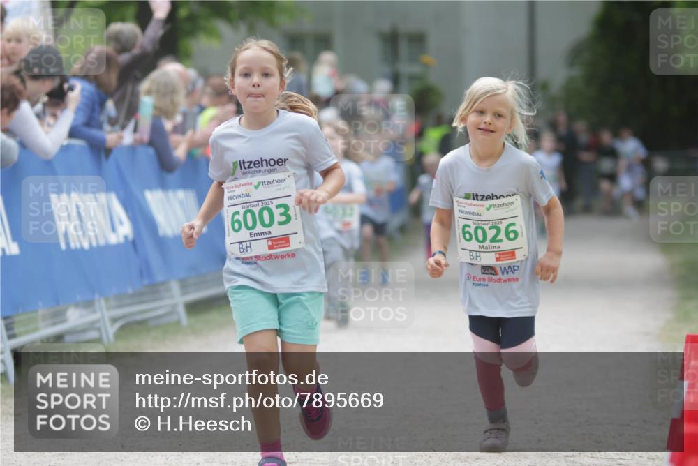 17.05.2025 - Störlauf H.Heesch http://msf.ph/oto/7895669 17.05.2025 13:17:12 Ziel 2025, 6003, 5032, 2025, 6026 meine-sportfotos.de