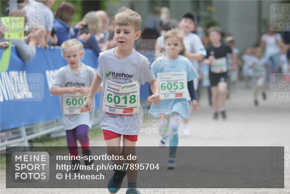 17.05.2025 - Störlauf H.Heesch http://msf.ph/oto/7895704 17.05.2025 13:17:22 Ziel 600, 2025, 6018, 6053 meine-sportfotos.de