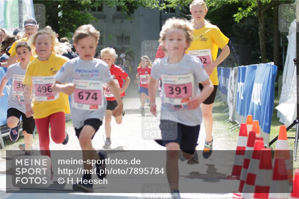 17.05.2025 - Störlauf H.Heesch http://msf.ph/oto/7895784 17.05.2025 13:57:39 Ziel 38, 496, 674, 659, 391, 12 meine-sportfotos.de