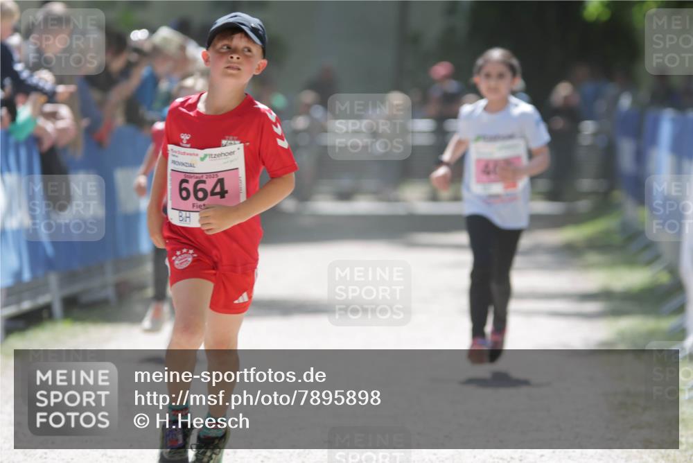 17.05.2025 - Störlauf H.Heesch http://msf.ph/oto/7895898 17.05.2025 13:57:49 Ziel 2025, 664 meine-sportfotos.de
