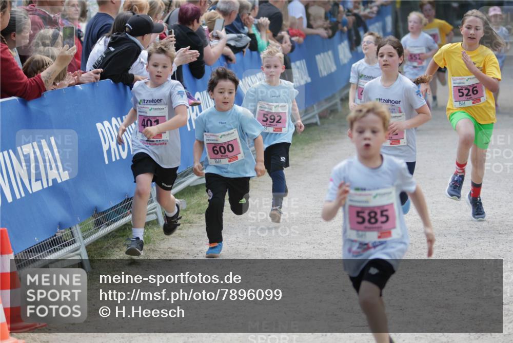 17.05.2025 - Störlauf H.Heesch http://msf.ph/oto/7896099 17.05.2025 13:59:02 Ziel 526, 401, 600, 592, 585 meine-sportfotos.de