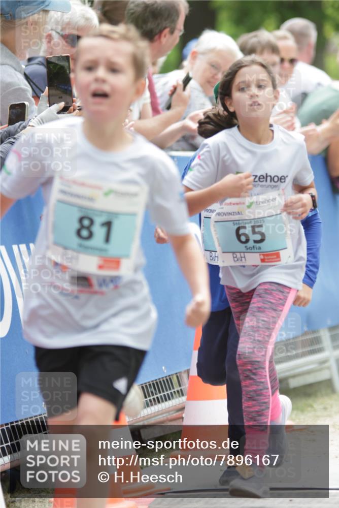 17.05.2025 - Störlauf H.Heesch http://msf.ph/oto/7896167 17.05.2025 13:40:26 Ziel 81, 2025, 65 meine-sportfotos.de
