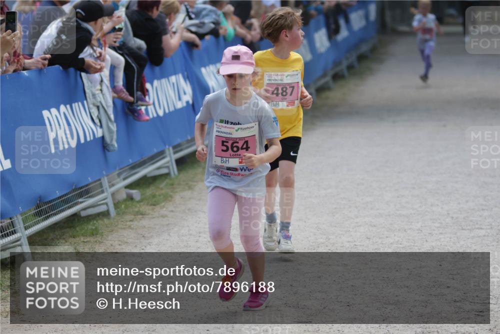 17.05.2025 - Störlauf H.Heesch http://msf.ph/oto/7896188 17.05.2025 13:59:07 Ziel 2025, 564, 487 meine-sportfotos.de