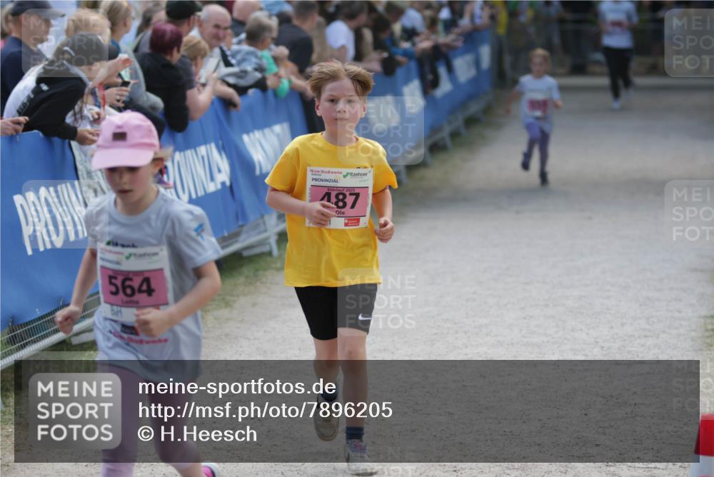 17.05.2025 - Störlauf H.Heesch http://msf.ph/oto/7896205 17.05.2025 13:59:08 Ziel 564, 2025, 487 meine-sportfotos.de