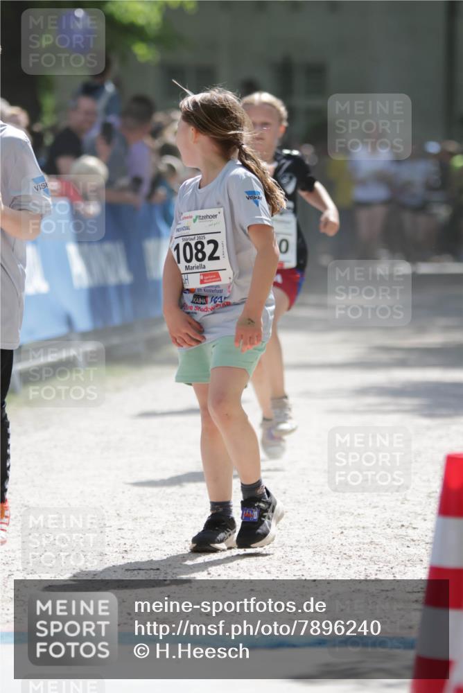 17.05.2025 - Störlauf H.Heesch http://msf.ph/oto/7896240 17.05.2025 14:50:00 Ziel 2025, 1082, 0 meine-sportfotos.de