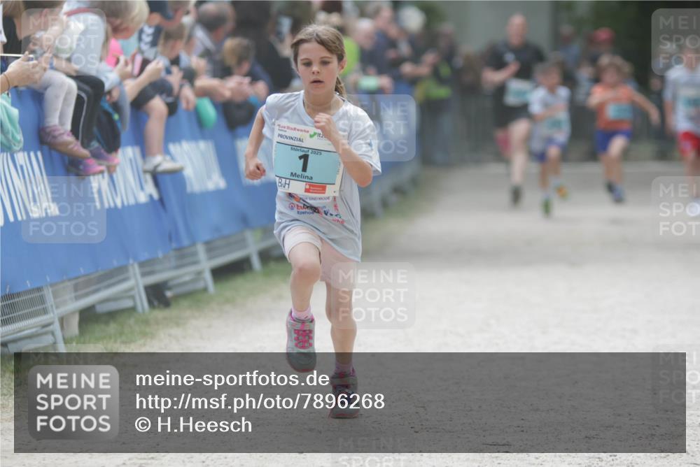 17.05.2025 - Störlauf H.Heesch http://msf.ph/oto/7896268 17.05.2025 13:40:43 Ziel 2025, 1 meine-sportfotos.de