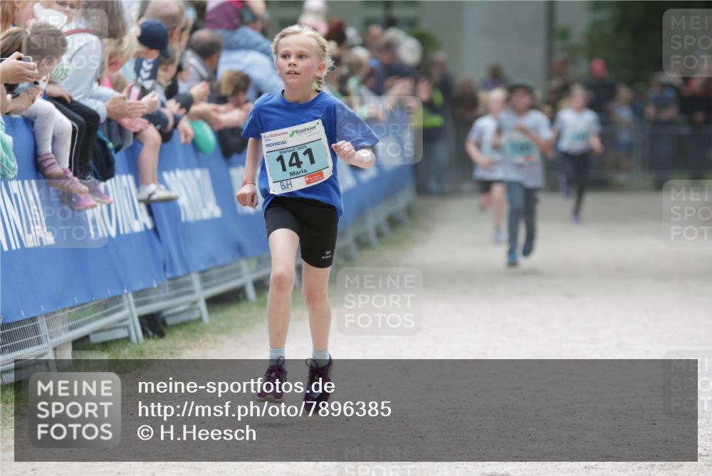 17.05.2025 - Störlauf H.Heesch http://msf.ph/oto/7896385 17.05.2025 13:40:58 Ziel 2025, 141 meine-sportfotos.de