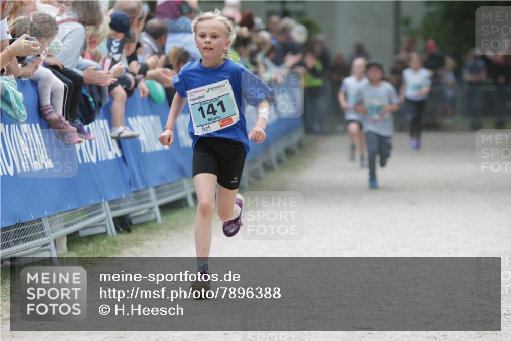 17.05.2025 - Störlauf H.Heesch http://msf.ph/oto/7896388 17.05.2025 13:40:58 Ziel 2025, 141 meine-sportfotos.de