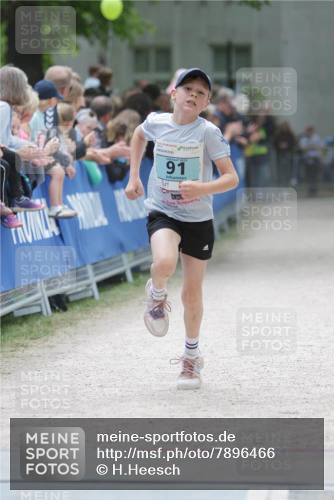 17.05.2025 - Störlauf H.Heesch http://msf.ph/oto/7896466 17.05.2025 13:41:11 Ziel 2025, 91 meine-sportfotos.de