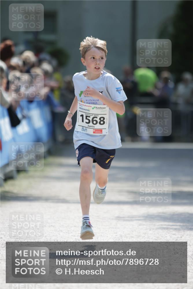 17.05.2025 - Störlauf H.Heesch http://msf.ph/oto/7896728 17.05.2025 14:39:13 Ziel 18565, 2025, 1568 meine-sportfotos.de