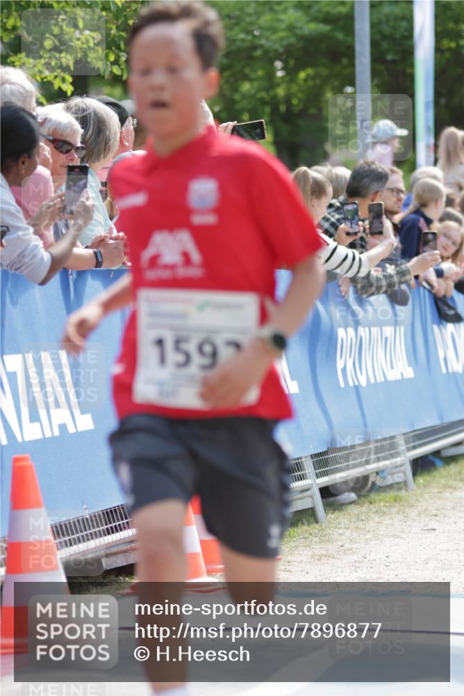 17.05.2025 - Störlauf H.Heesch http://msf.ph/oto/7896877 17.05.2025 14:39:29 Ziel 159 meine-sportfotos.de