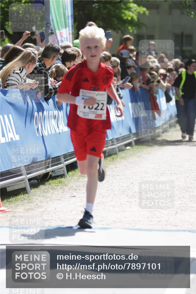 17.05.2025 - Störlauf H.Heesch http://msf.ph/oto/7897101 17.05.2025 14:40:06 Ziel 45, 22 meine-sportfotos.de