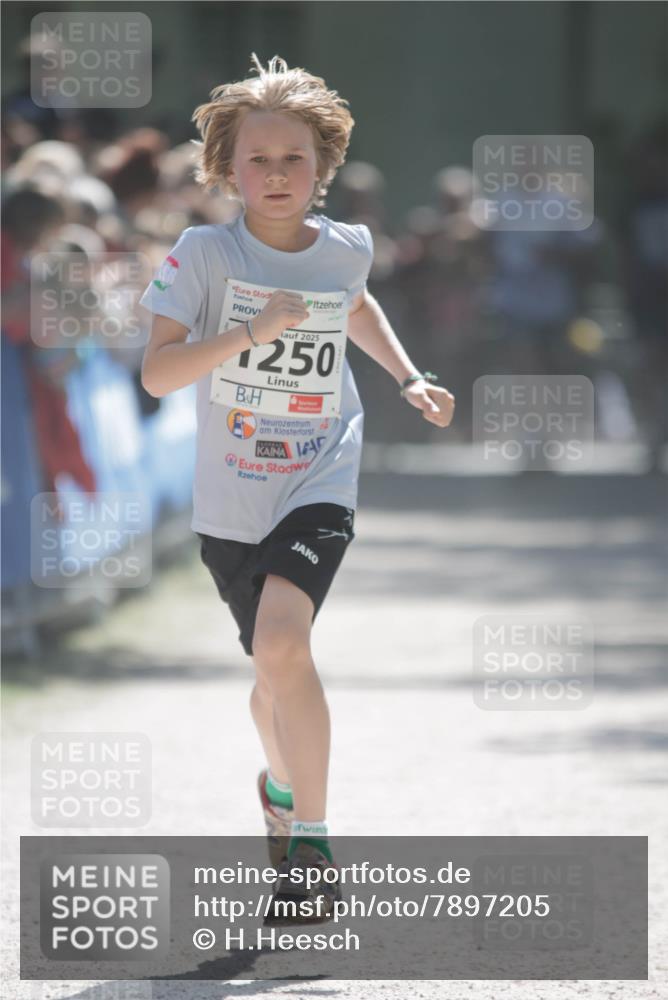 17.05.2025 - Störlauf H.Heesch http://msf.ph/oto/7897205 17.05.2025 14:40:30 Ziel 2025, 1250 meine-sportfotos.de