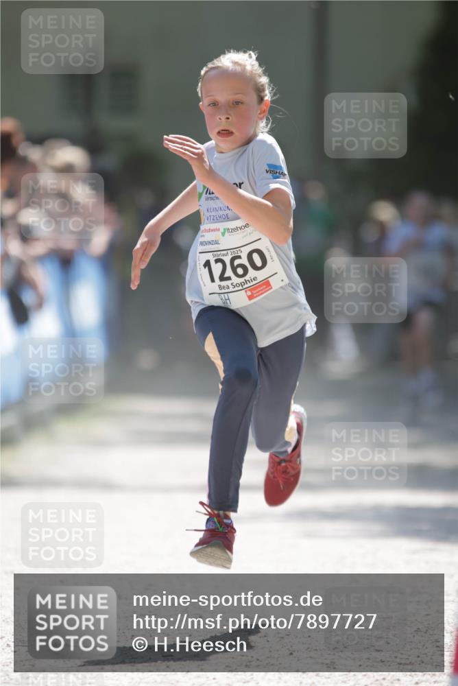 17.05.2025 - Störlauf H.Heesch http://msf.ph/oto/7897727 17.05.2025 14:42:22 Ziel 2025, 1260, 3 meine-sportfotos.de