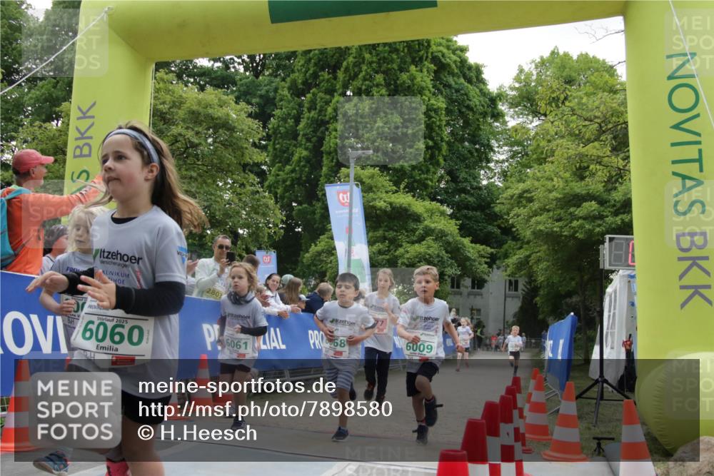 17.05.2025 - Störlauf H.Heesch http://msf.ph/oto/7898580 17.05.2025 13:16:56 Ziel 6060, 60009 meine-sportfotos.de