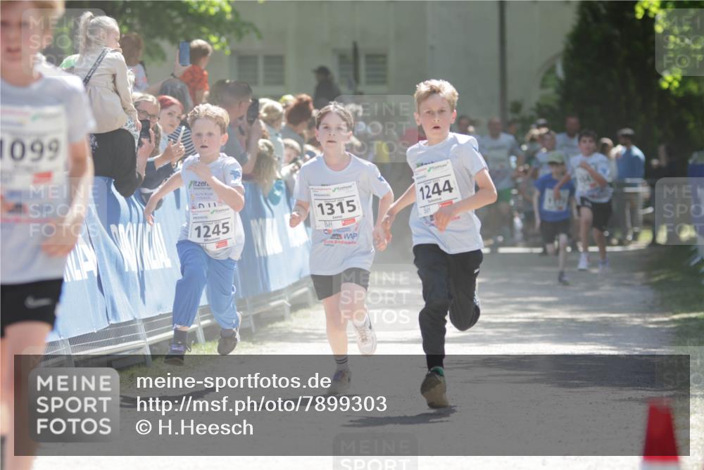 17.05.2025 - Störlauf H.Heesch http://msf.ph/oto/7899303 17.05.2025 14:46:39 Ziel 1099, 1245, 1315, 1244, 164 meine-sportfotos.de