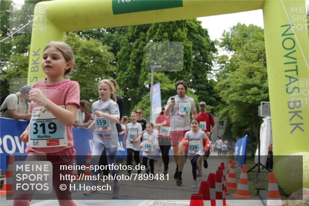 17.05.2025 - Störlauf H.Heesch http://msf.ph/oto/7899481 17.05.2025 13:45:14 Ziel 319, 359, 245, 320, 226 meine-sportfotos.de