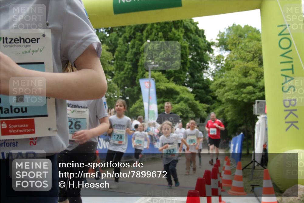 17.05.2025 - Störlauf H.Heesch http://msf.ph/oto/7899672 17.05.2025 13:45:36 Ziel 2, 2025, 26, 178, 257 meine-sportfotos.de
