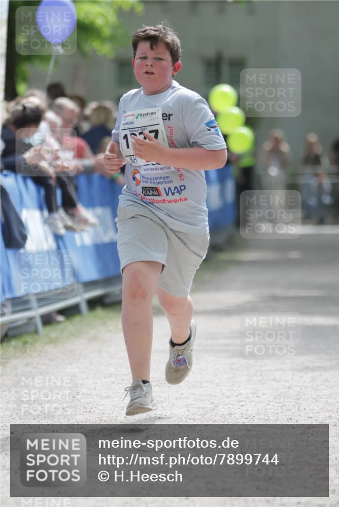 17.05.2025 - Störlauf H.Heesch http://msf.ph/oto/7899744 17.05.2025 15:09:25 Ziel 2025 meine-sportfotos.de