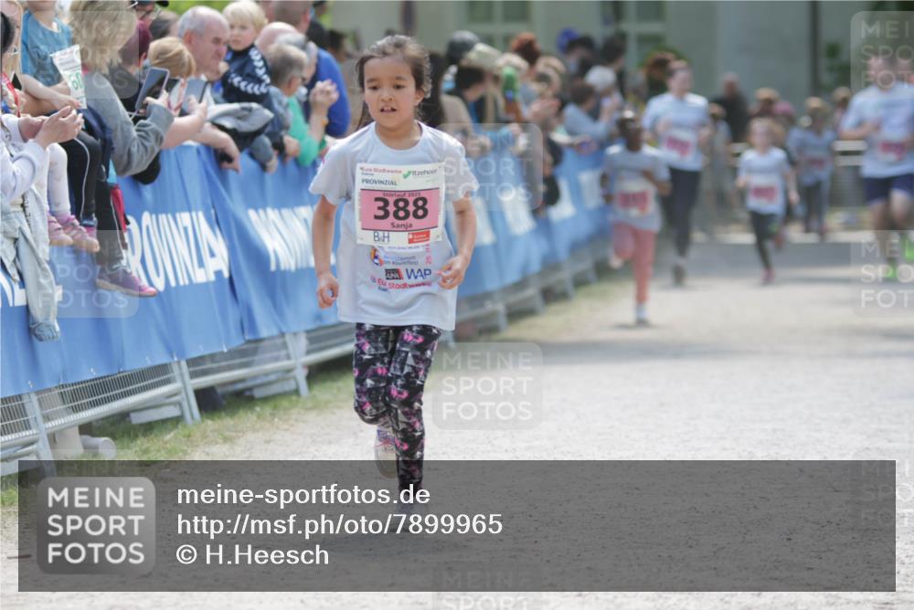 17.05.2025 - Störlauf H.Heesch http://msf.ph/oto/7899965 17.05.2025 14:00:09 Ziel 2025, 388, 25 meine-sportfotos.de
