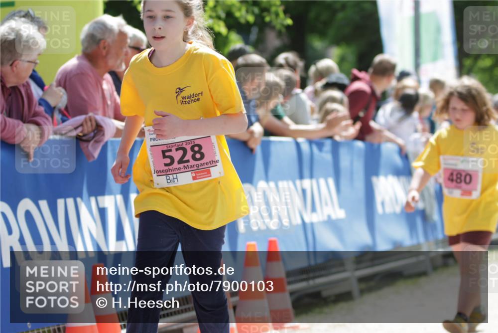 17.05.2025 - Störlauf H.Heesch http://msf.ph/oto/7900103 17.05.2025 14:01:05 Ziel 2025, 528, 480, 11 meine-sportfotos.de