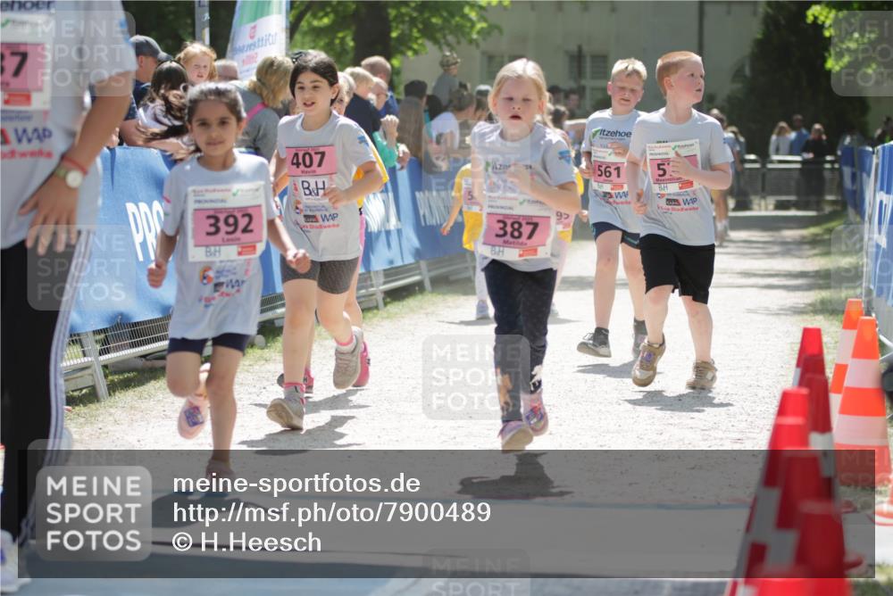17.05.2025 - Störlauf H.Heesch http://msf.ph/oto/7900489 17.05.2025 14:02:21 Ziel 37, 9989, 392, 407, 387, 561, 5, 95 meine-sportfotos.de