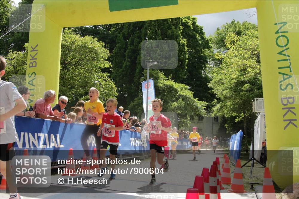 17.05.2025 - Störlauf H.Heesch http://msf.ph/oto/7900604 17.05.2025 13:57:45 Ziel 542 meine-sportfotos.de