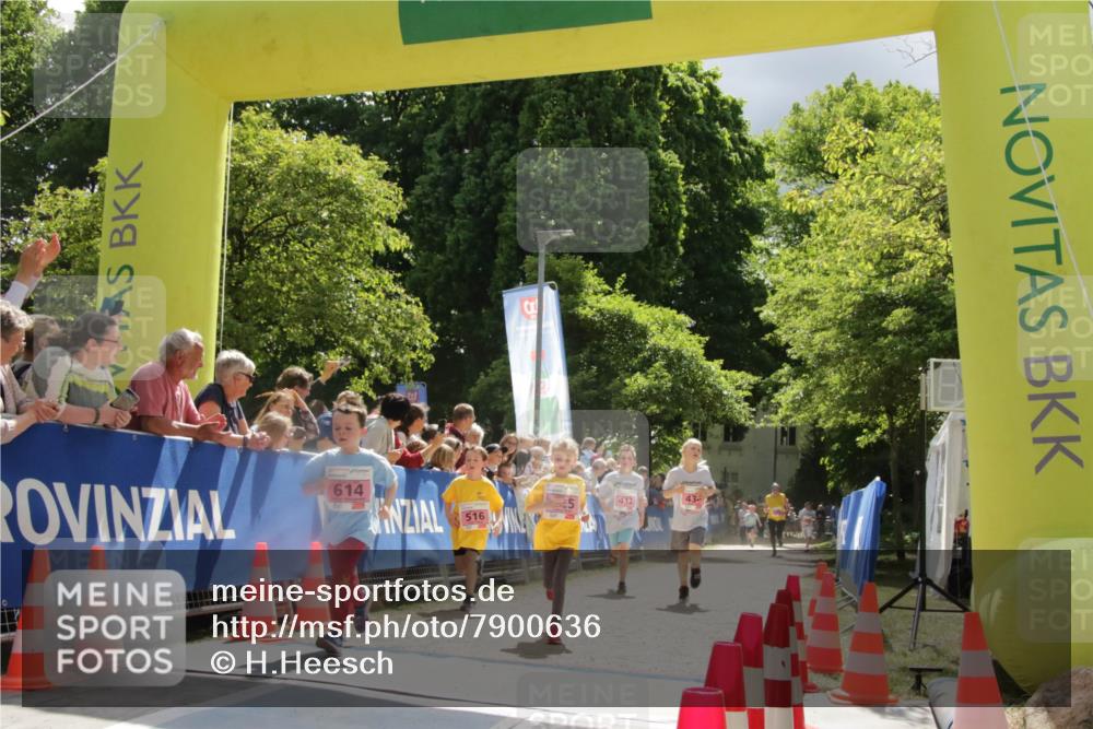 17.05.2025 - Störlauf H.Heesch http://msf.ph/oto/7900636 17.05.2025 13:58:06 Ziel 614, 516 meine-sportfotos.de
