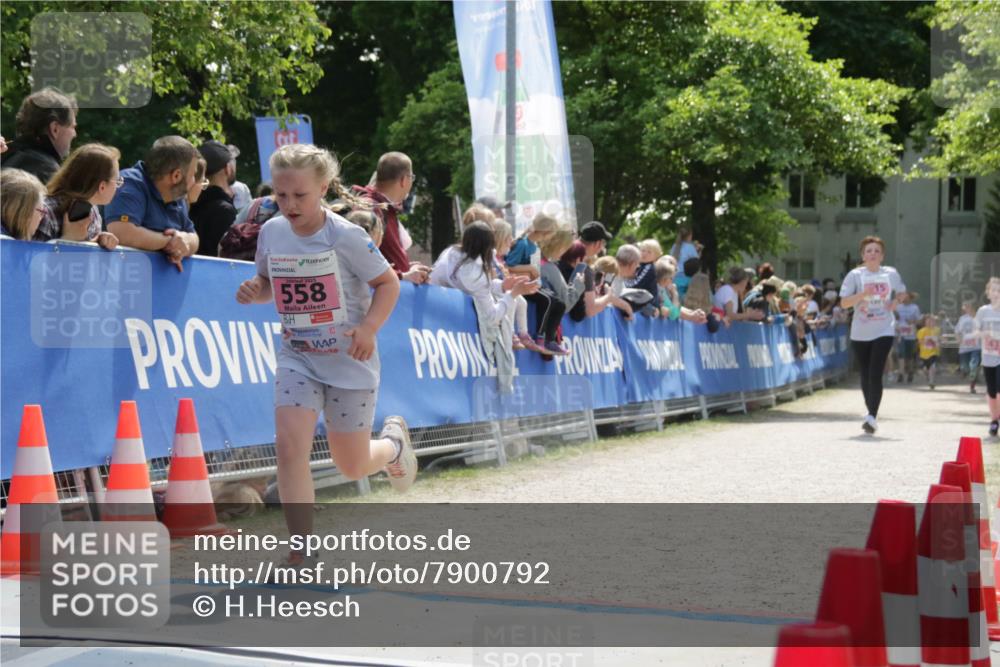 17.05.2025 - Störlauf H.Heesch http://msf.ph/oto/7900792 17.05.2025 13:59:53 Ziel 1992, 2025, 558, 43 meine-sportfotos.de
