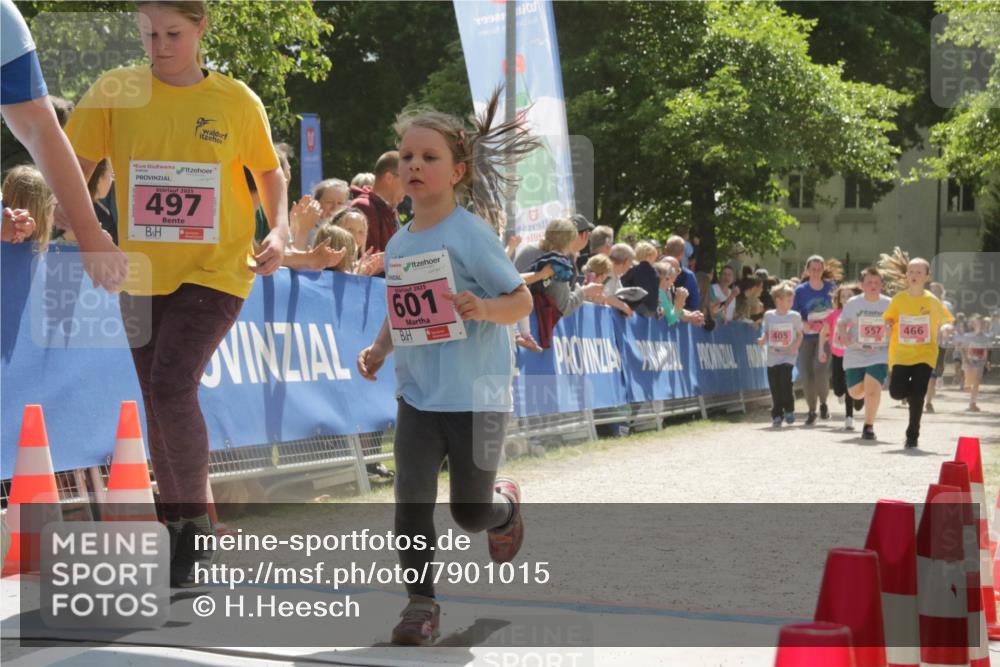 17.05.2025 - Störlauf H.Heesch http://msf.ph/oto/7901015 17.05.2025 14:02:10 Ziel 2025, 497, 1992, 2025, 601, 405, 557, 466 meine-sportfotos.de