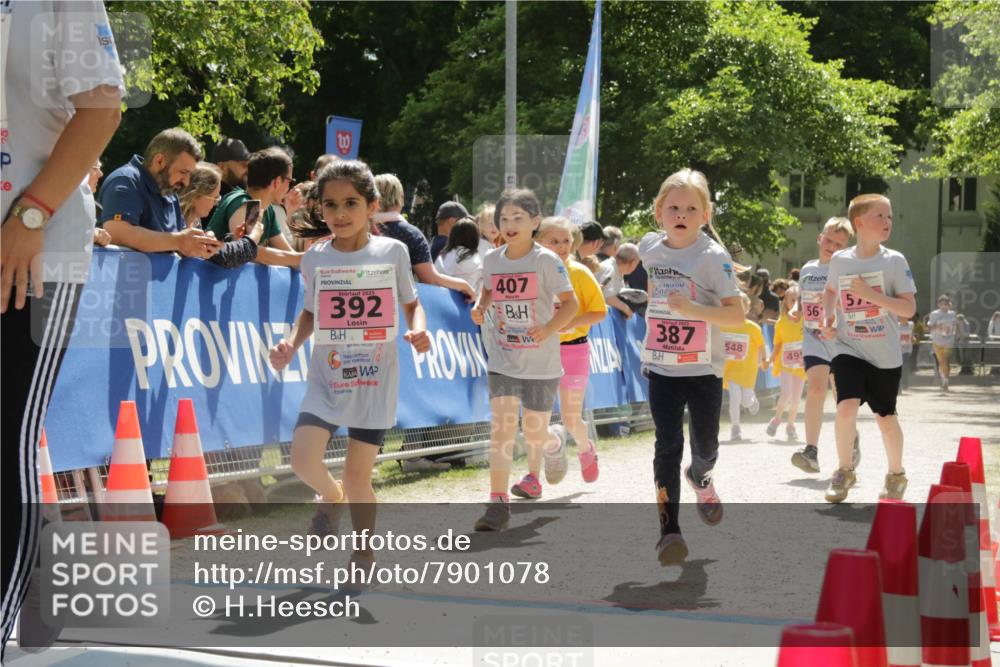 17.05.2025 - Störlauf H.Heesch http://msf.ph/oto/7901078 17.05.2025 14:02:20 Ziel 2025, 392, 407, 2025, 387, 548, 495, 56, 317 meine-sportfotos.de