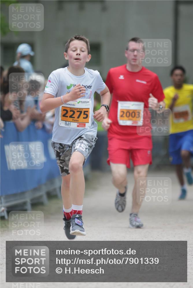 17.05.2025 - Störlauf H.Heesch http://msf.ph/oto/7901339 17.05.2025 15:25:25 Ziel 1, 2025, 2275, 2003 meine-sportfotos.de