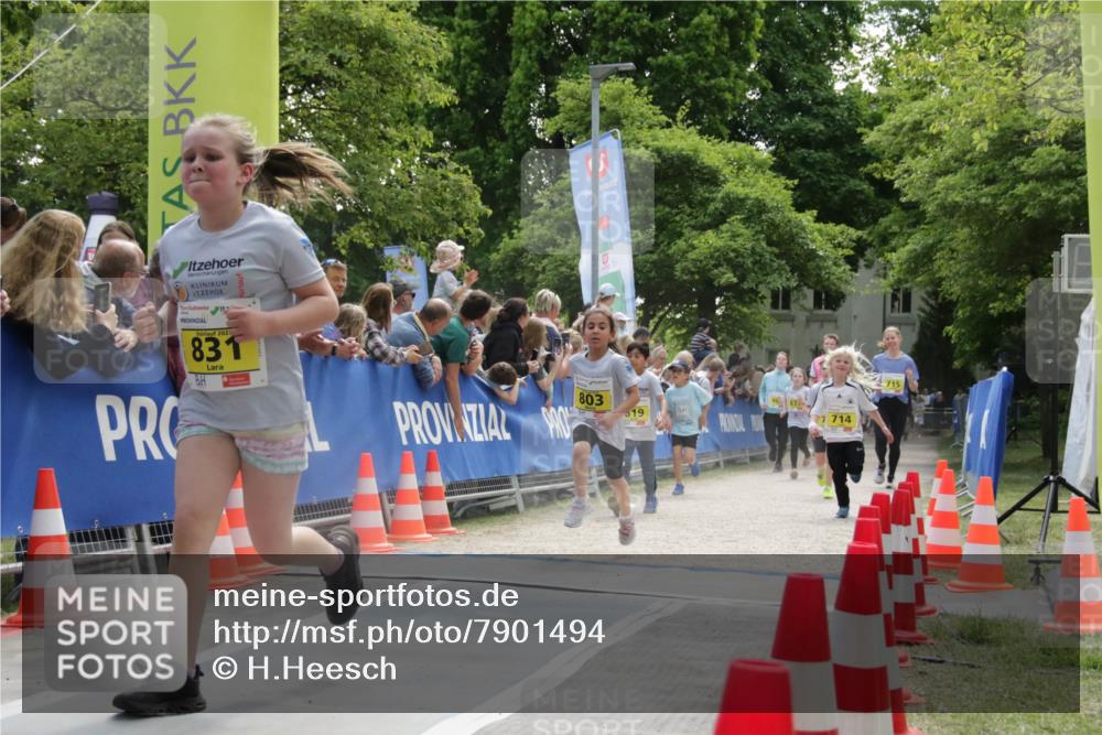 17.05.2025 - Störlauf H.Heesch http://msf.ph/oto/7901494 17.05.2025 14:13:14 Ziel 202, 831, 803, 19, 714, 715 meine-sportfotos.de