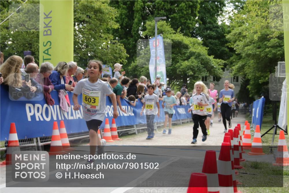 17.05.2025 - Störlauf H.Heesch http://msf.ph/oto/7901502 17.05.2025 14:13:15 Ziel 803, 819, 714, 47, 715 meine-sportfotos.de
