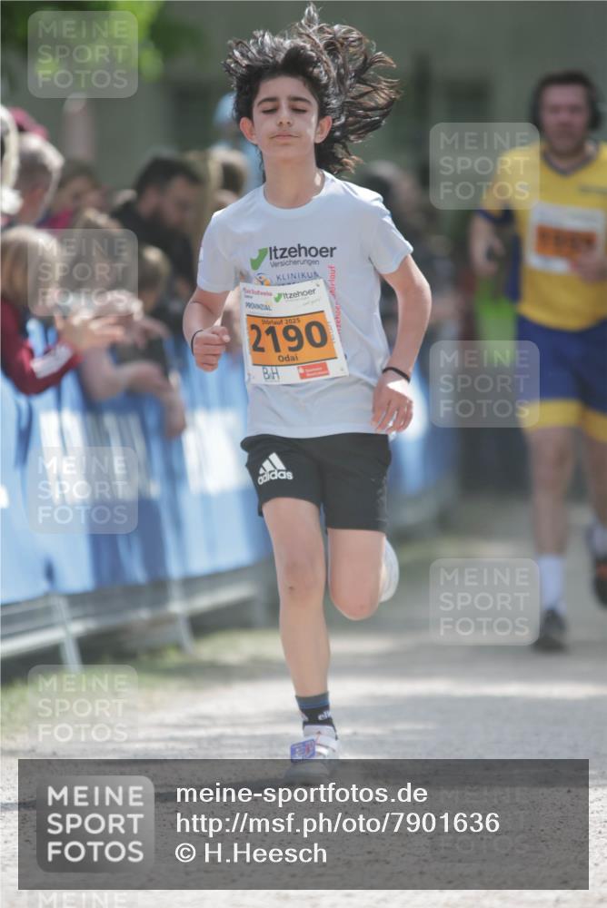 17.05.2025 - Störlauf H.Heesch http://msf.ph/oto/7901636 17.05.2025 15:26:52 Ziel 2025, 2190 meine-sportfotos.de