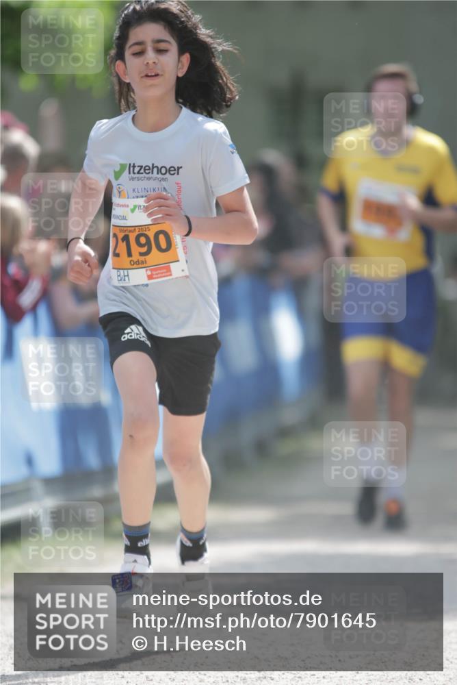 17.05.2025 - Störlauf H.Heesch http://msf.ph/oto/7901645 17.05.2025 15:26:53 Ziel 2025, 2190 meine-sportfotos.de