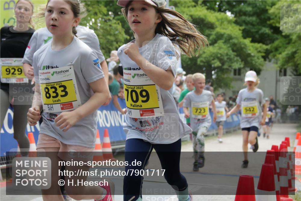 17.05.2025 - Störlauf H.Heesch http://msf.ph/oto/7901717 17.05.2025 14:14:39 Ziel 929, 2025, 833, 2, 2025, 709, 2, 723, 942 meine-sportfotos.de
