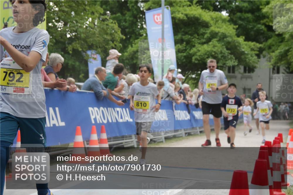 17.05.2025 - Störlauf H.Heesch http://msf.ph/oto/7901730 17.05.2025 14:14:42 Ziel 4, 2025, 792, 810, 732, 765 meine-sportfotos.de