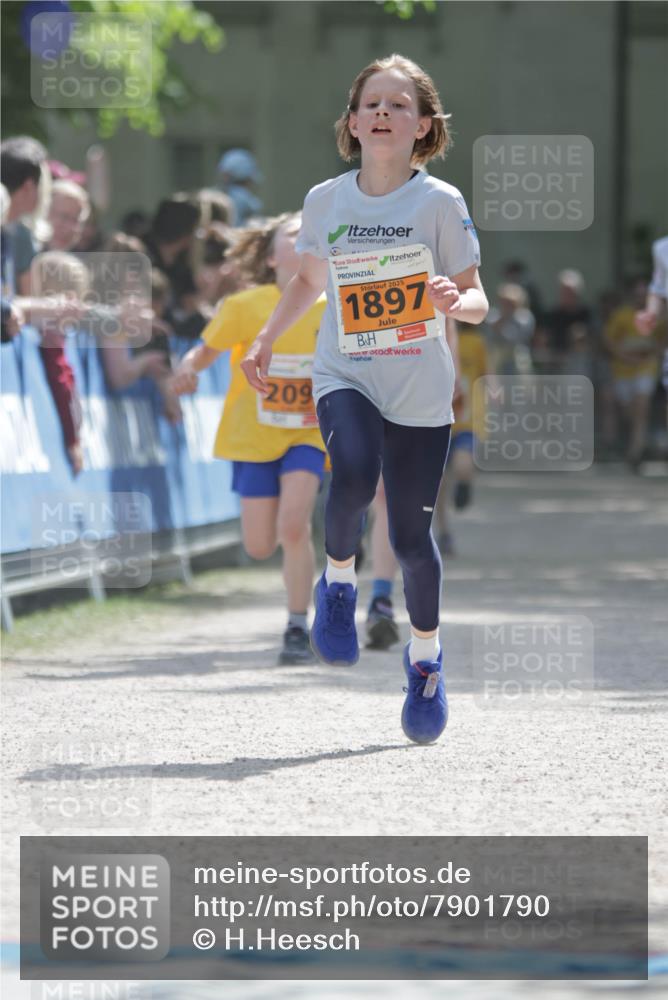 17.05.2025 - Störlauf H.Heesch http://msf.ph/oto/7901790 17.05.2025 15:27:32 Ziel 209, 2025, 1897 meine-sportfotos.de