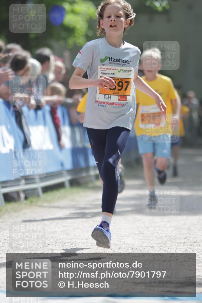 17.05.2025 - Störlauf H.Heesch http://msf.ph/oto/7901797 17.05.2025 15:27:32 Ziel 2025, 97, 208 meine-sportfotos.de