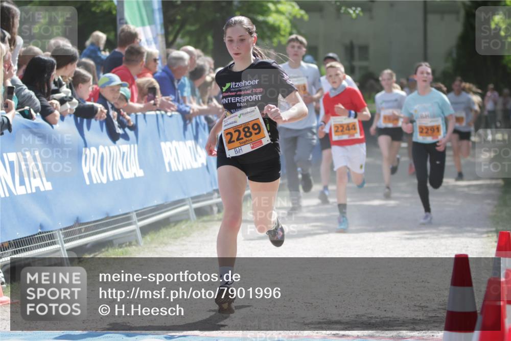 17.05.2025 - Störlauf H.Heesch http://msf.ph/oto/7901996 17.05.2025 15:28:22 Ziel 2019, 2025, 2289, 2244, 2291 meine-sportfotos.de