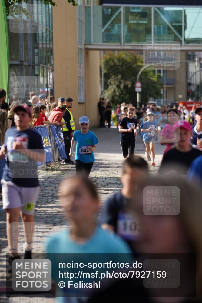 13.06.2025 - Holstenköstenlauf Felixshl http://msf.ph/oto/7927159 13.06.2025 16:51:59 Laufen 41, 48, 93, 399, 537, 798, 802, 814, 815, 1032, 1034, 1113, 1164, 1260, 1366, 1935 meine-sportfotos.de