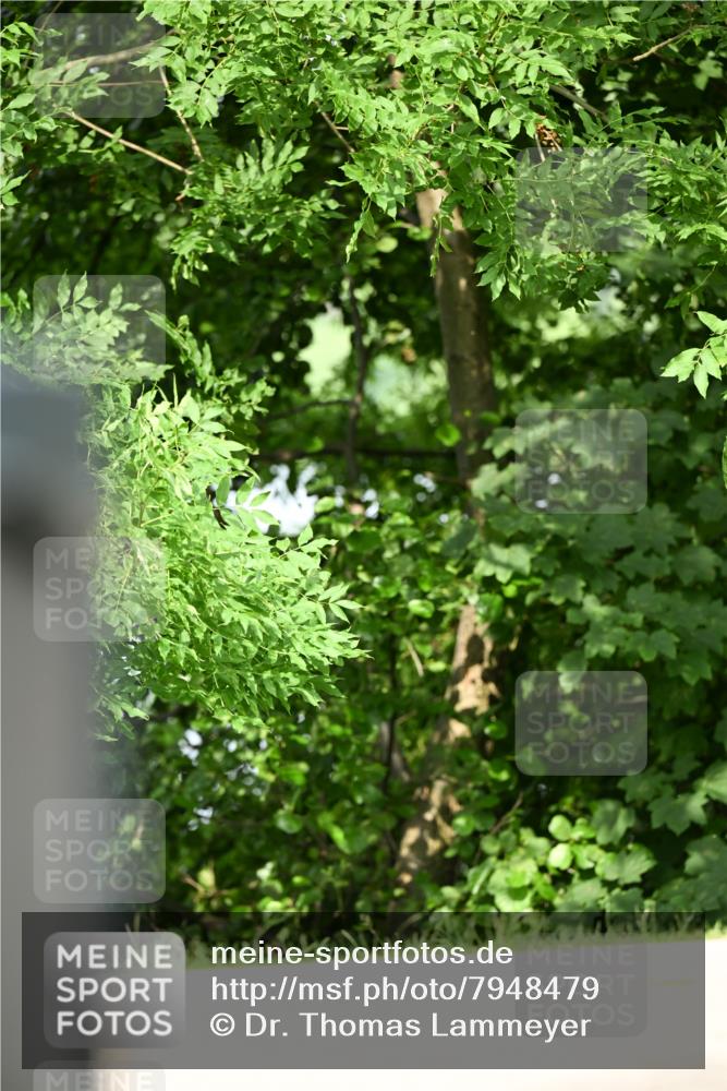 15.06.2025 - REWE Women's Run Dr. Thomas Lammeyer http://msf.ph/oto/7948479 15.06.2025 09:29:34 Laufen  meine-sportfotos.de