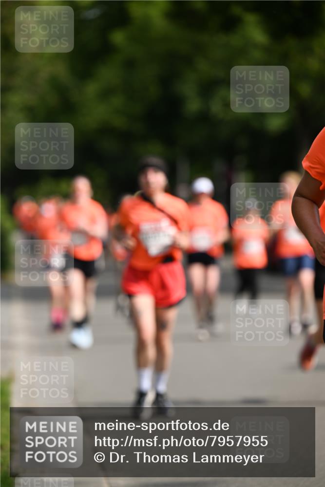 15.06.2025 - REWE Women's Run Dr. Thomas Lammeyer http://msf.ph/oto/7957955 15.06.2025 09:48:01 Laufen  meine-sportfotos.de